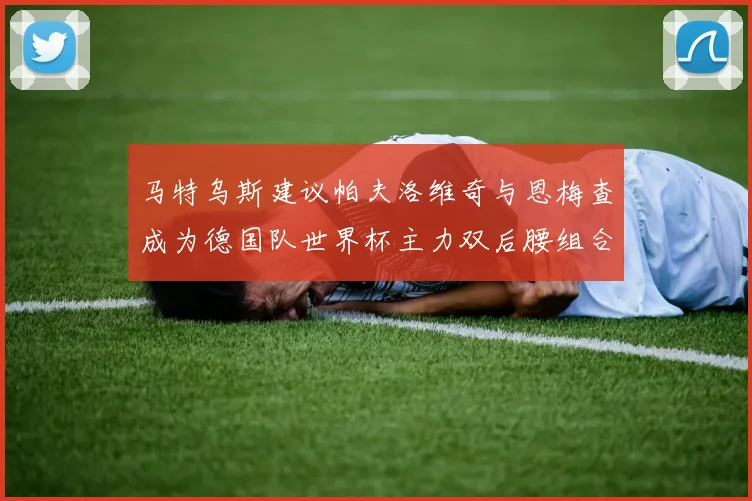 马特乌斯建议帕夫洛维奇与恩梅查成为德国队世界杯主力双后腰组合