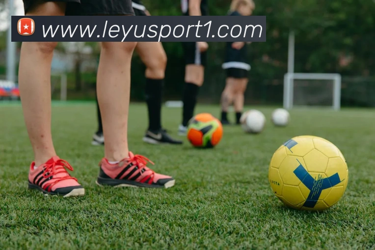 App Interface Preview