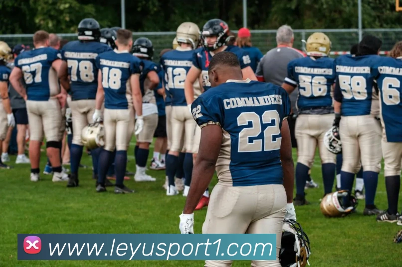 乐鱼体育APP 封面图