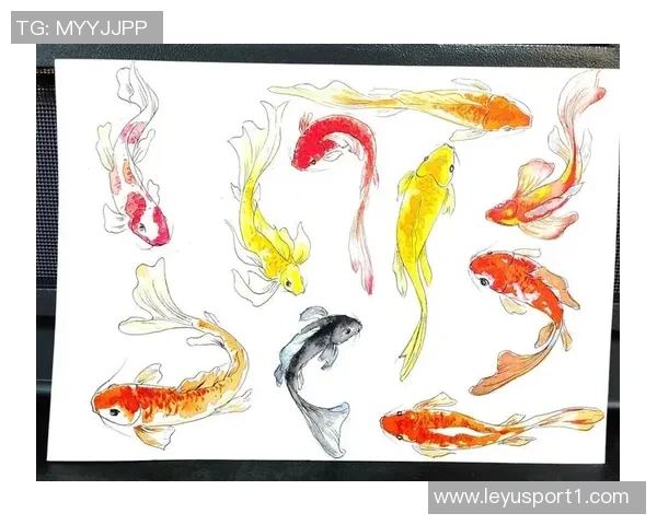 徐新自称阳光球迷称其锦鲤认为好运来自于不做亏心事